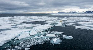 Read more about the article Sea Ice Melting: The Arctic Is Losing Its Frozen Shield Faster Than We Thought