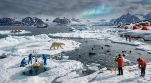 Read more about the article Arctic Circle: Science, Wildlife, Climate, and the Wonders of the Polar North